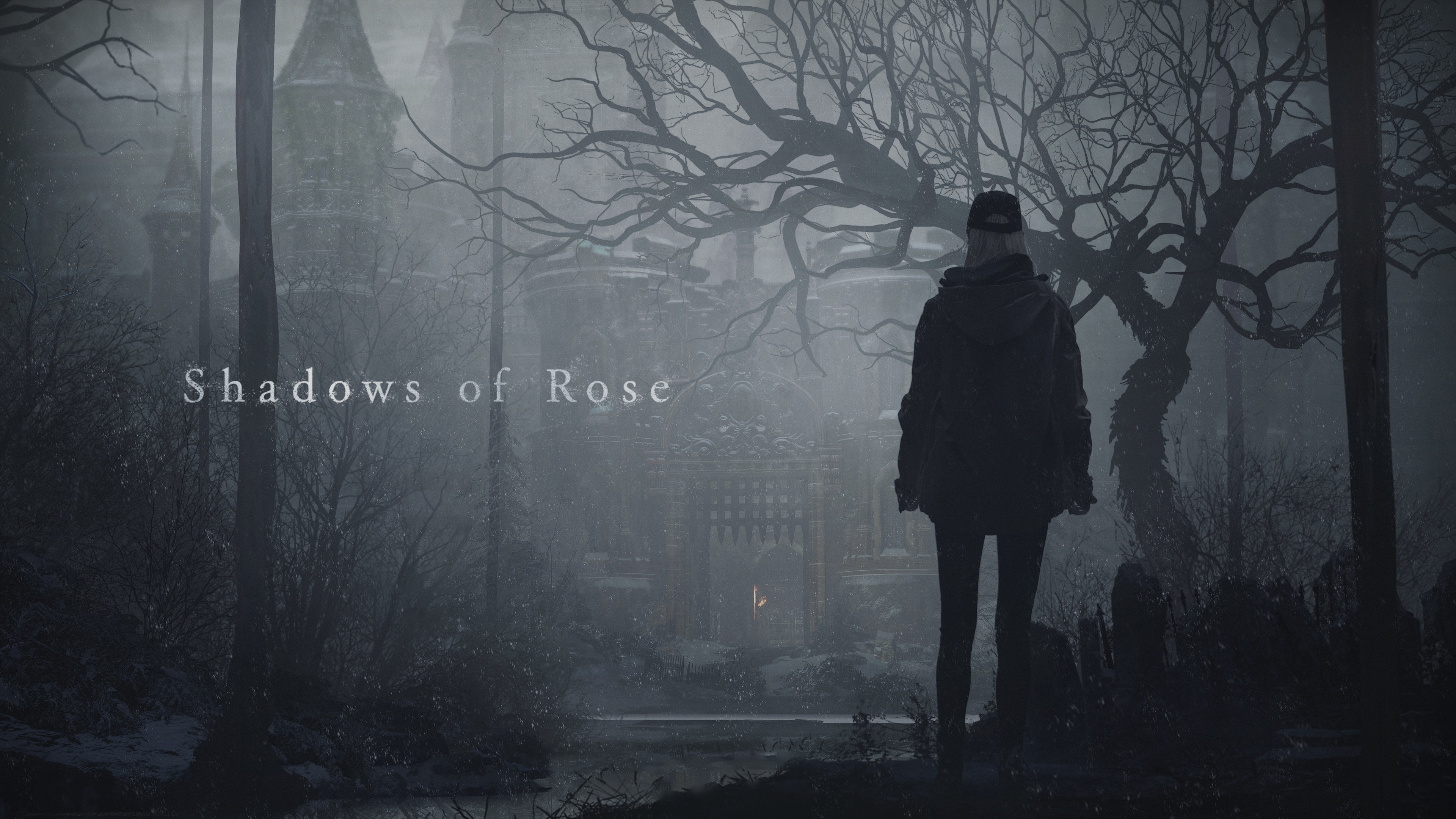 《生化危机 村庄 萝丝魅影》